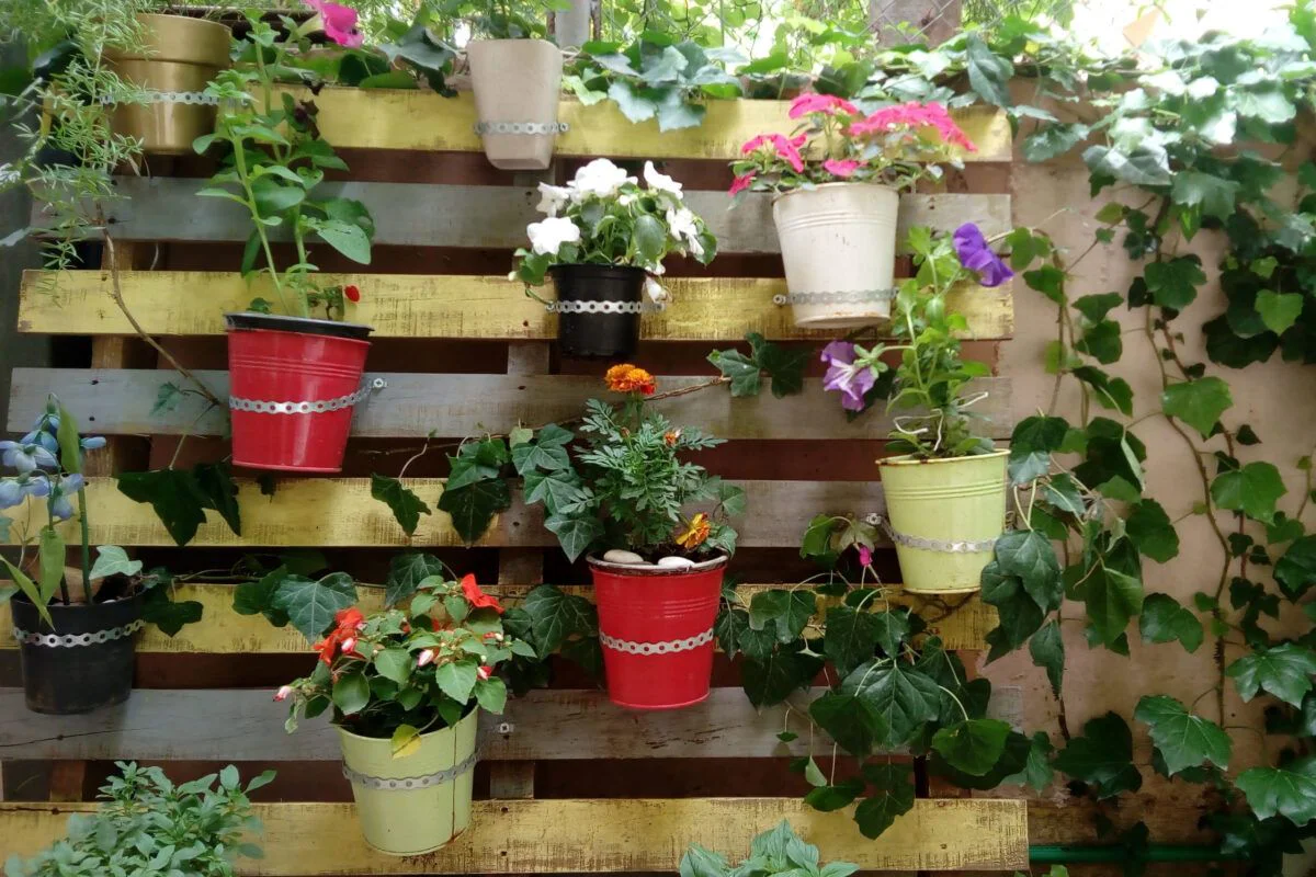 Alquiler de herramientas para jardín vertical