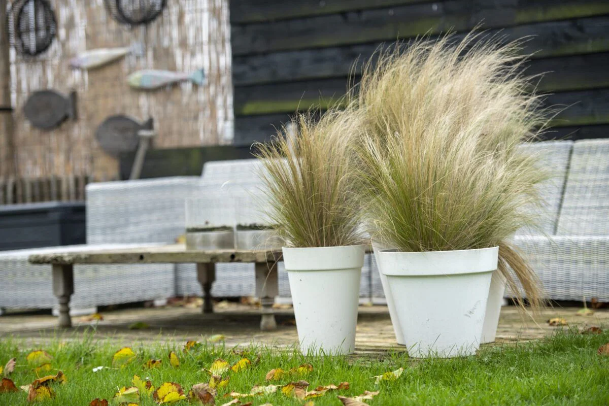 Alquiler de herramientas para jardín