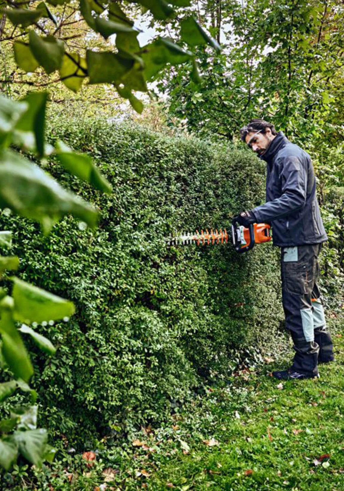 Jardinería para particulares alquiler de cortasetos a batería