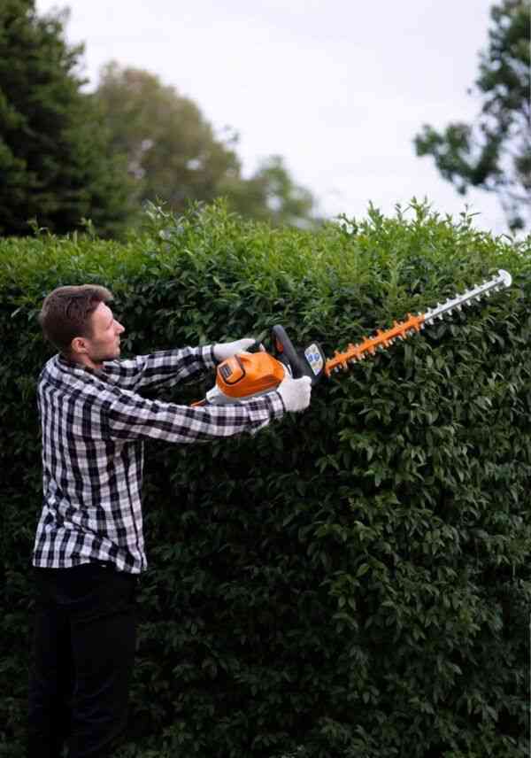 Alquiler de cortasetos a batería Stihl para particulares