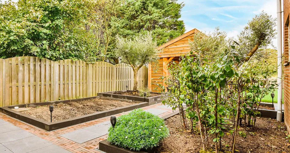 Prepara tu jardín para el invierno en 4 pasos