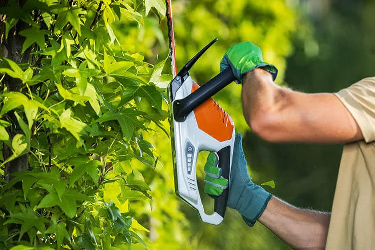 Alquiler de cortasetos para poner a punto tu jardín esta primavera