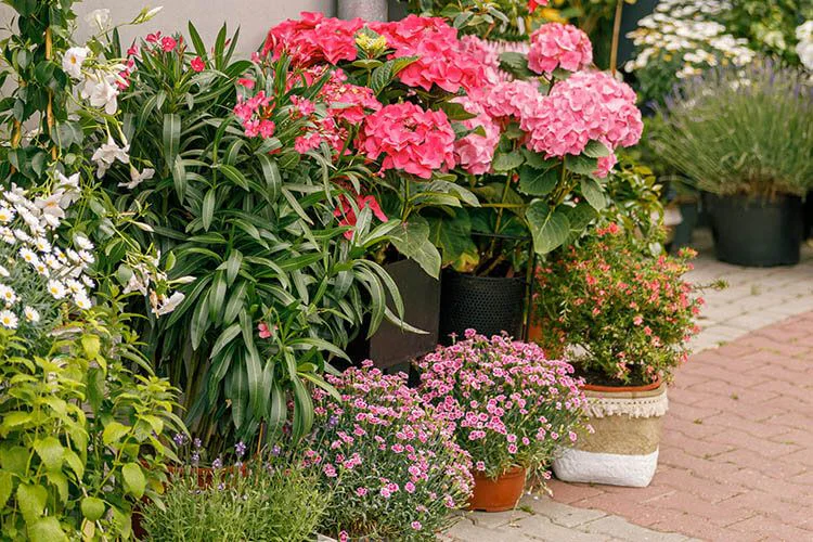 Decora tu jardín esta primavera
