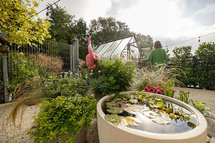 Crea un estanque en tu jardín alquilando herramientas en Smoh