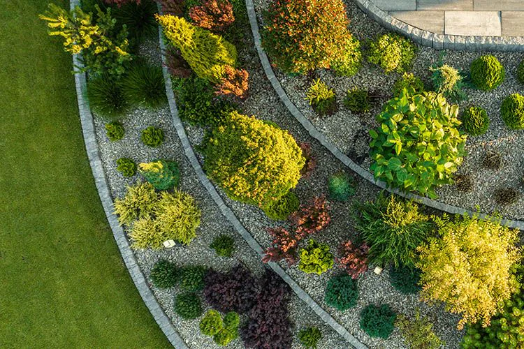 Diseña tu jardín con herramientas de alquiler de Smoh