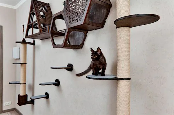 arbol rascador para gatos